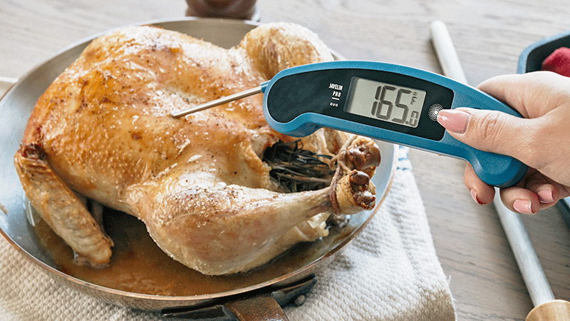 Lavatools Javelin Pro Duo digital instant read meat thermometer for kitchen
