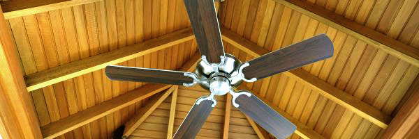 ceiling fans summer